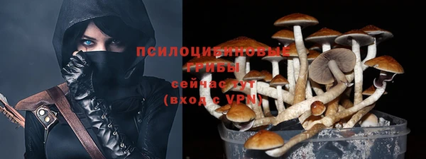 синтетический гашиш Балахна