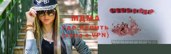индика Аркадак