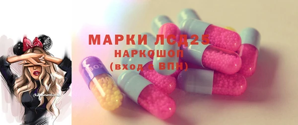 индика Аркадак