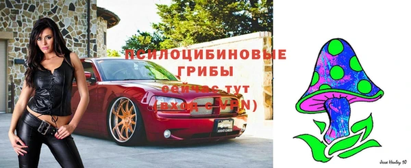 ECSTASY Баксан