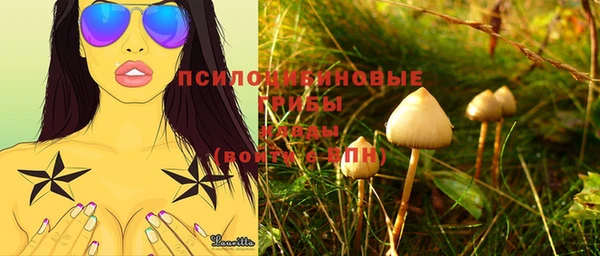 индика Аркадак