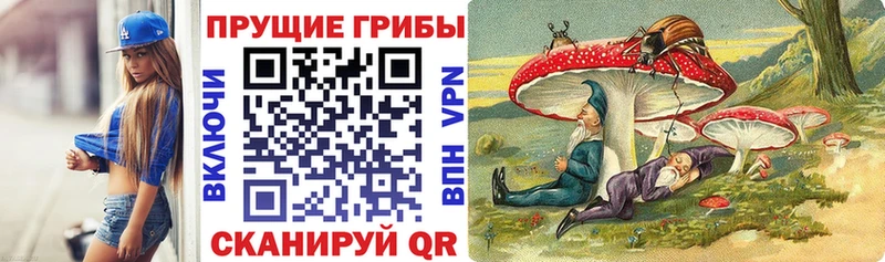 Галлюциногенные грибы Magic Shrooms  Пестово 
